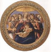 Sandro Botticelli Madonna and child with six Angels or Madonna of the Pomegranate Germany oil painting artist